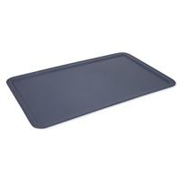 Hospital General Purpose Tray - 530 x 325mm