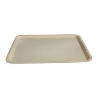 Hospital Tray - 550 x 400mm - BONE