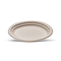 Unbleached Sugarcane Oval Plate - Large