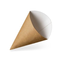 Large Cardboard Cone