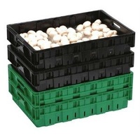 27L Nally Vented Mushroom Crate