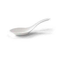 Sugarcane Soup Spoon