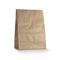 Brown SOS Bags #20 (80gsm)