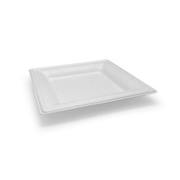 White Sugarcane Square Plate - 10"