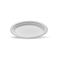 White Sugarcane Oval Plate - Small